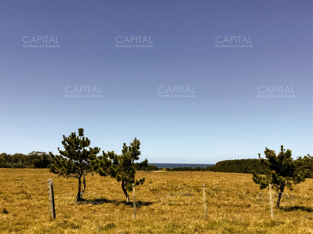 Chacra ID.29940 - Chacra en El Caracol - Garzon 108 Has, en venta