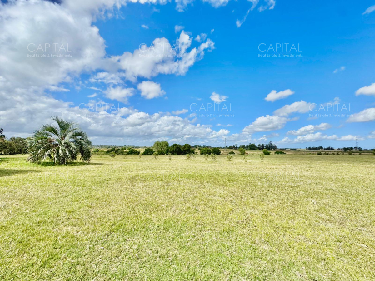 Chacra ID.37032 - Chacra en Ruta 104 de 5 hectáreas con moderna casa