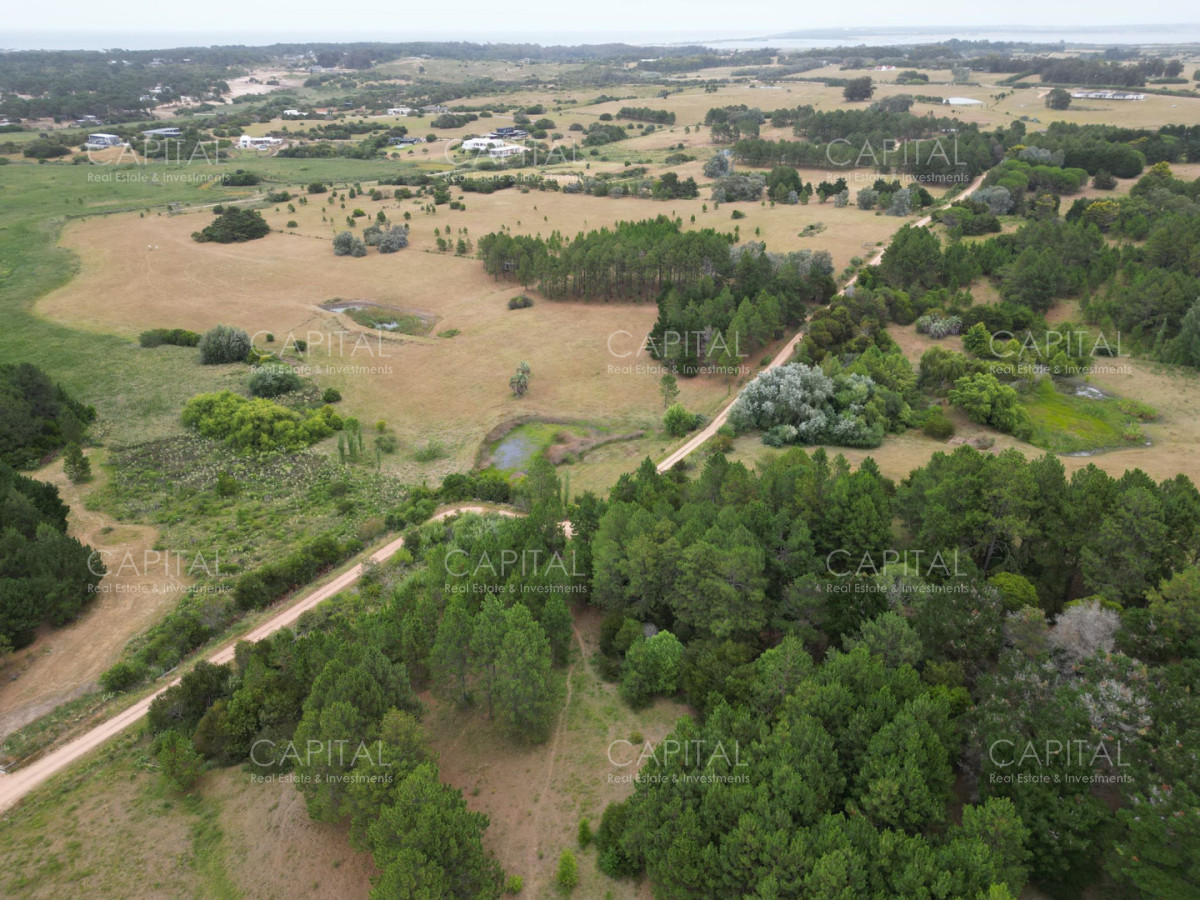Chacra ID.39061 - Chacra de 5 Hectáreas, Las Portuguesas-José Ignacio 