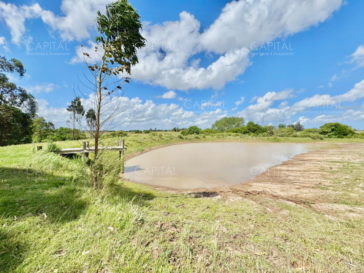 Chacra ID.37032 - Chacra en Ruta 104 de 5 hectáreas con moderna casa