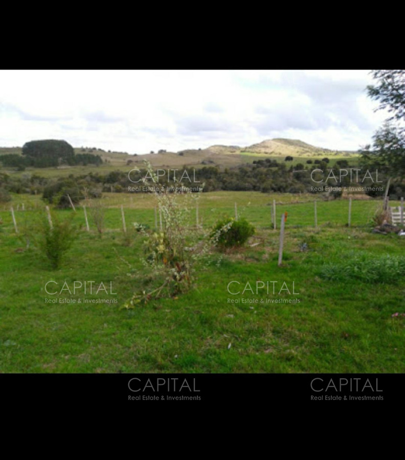 Chacra ID.29901 - Campo de 39 hectareas en venta en Aiguá