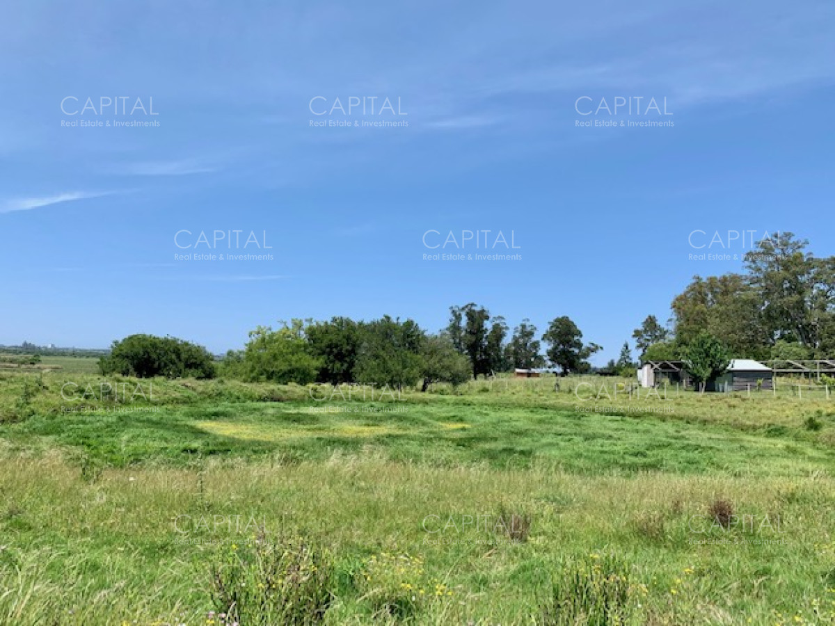 Chacra ID.28488 - Chacra con arroyo de casi 19 hectáreas disponible en Venta