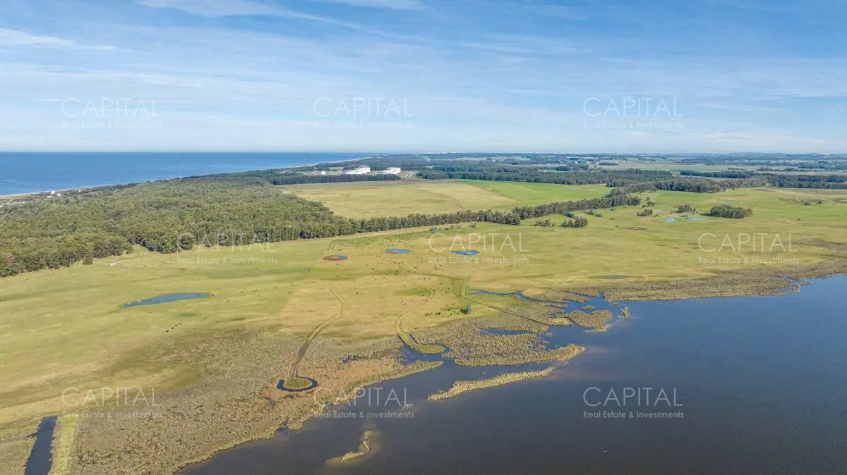 Chacra ID.39456 - ESPECTACULAR CHACRA SOBRE LAGUNA JOSÉ IGNACIO 