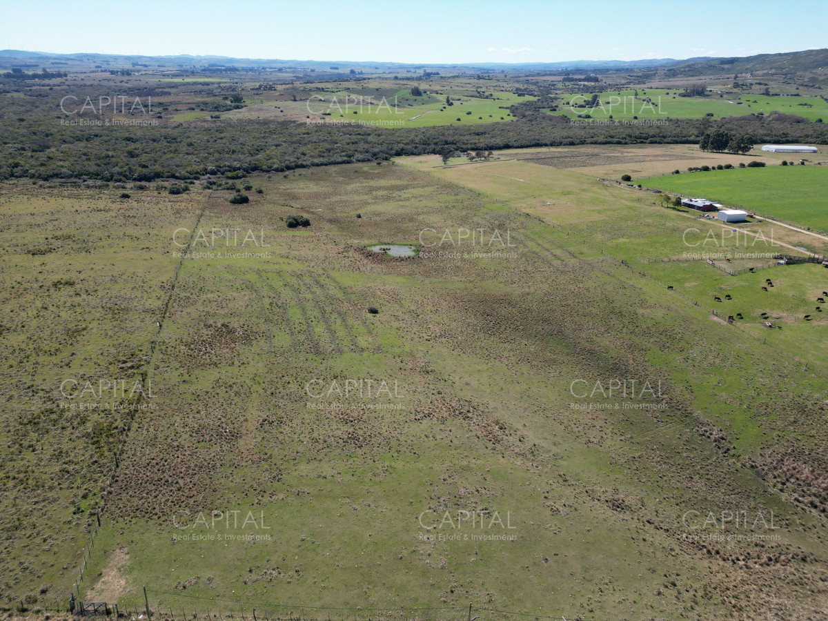 Chacra ID.38877 - Chacra de 10 has próxima a ruta 39 con arroyo 