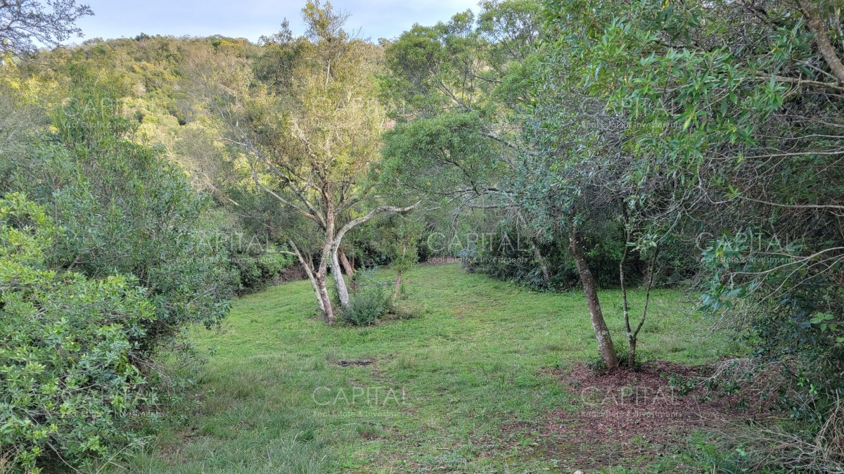 Chacra ID.35105 - Chacra en venta, Sierras de Maldonado - Uruguay