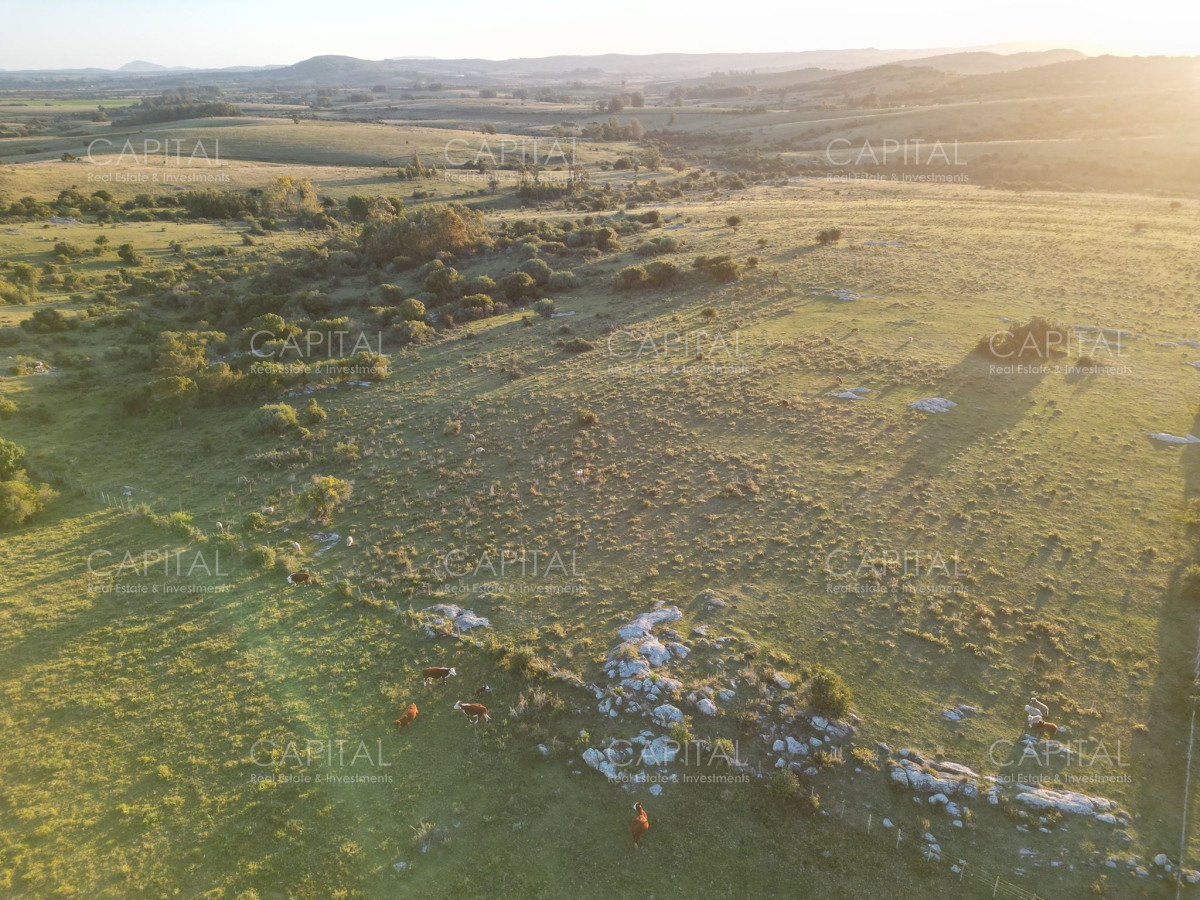 Chacra ID.38319 - Espectacular chacra de 17,5 has -Sierra de los Caracoles - Zona Mataojo