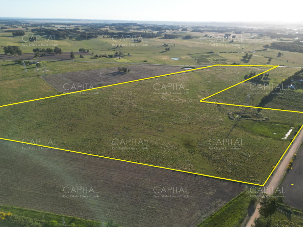 Chacra ID.39219 - Chacra de 23 has sobre ruta104