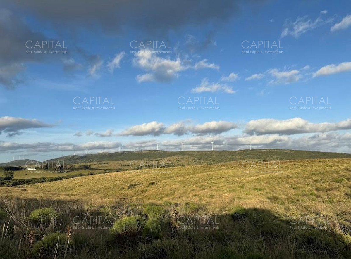 Chacra ID.38785 - Chacras de 3 has Sierra de los Caracoles 