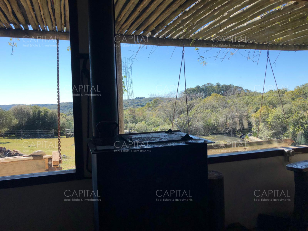 Chacra ID.31247 - Chacra en Ruta 39, en venta