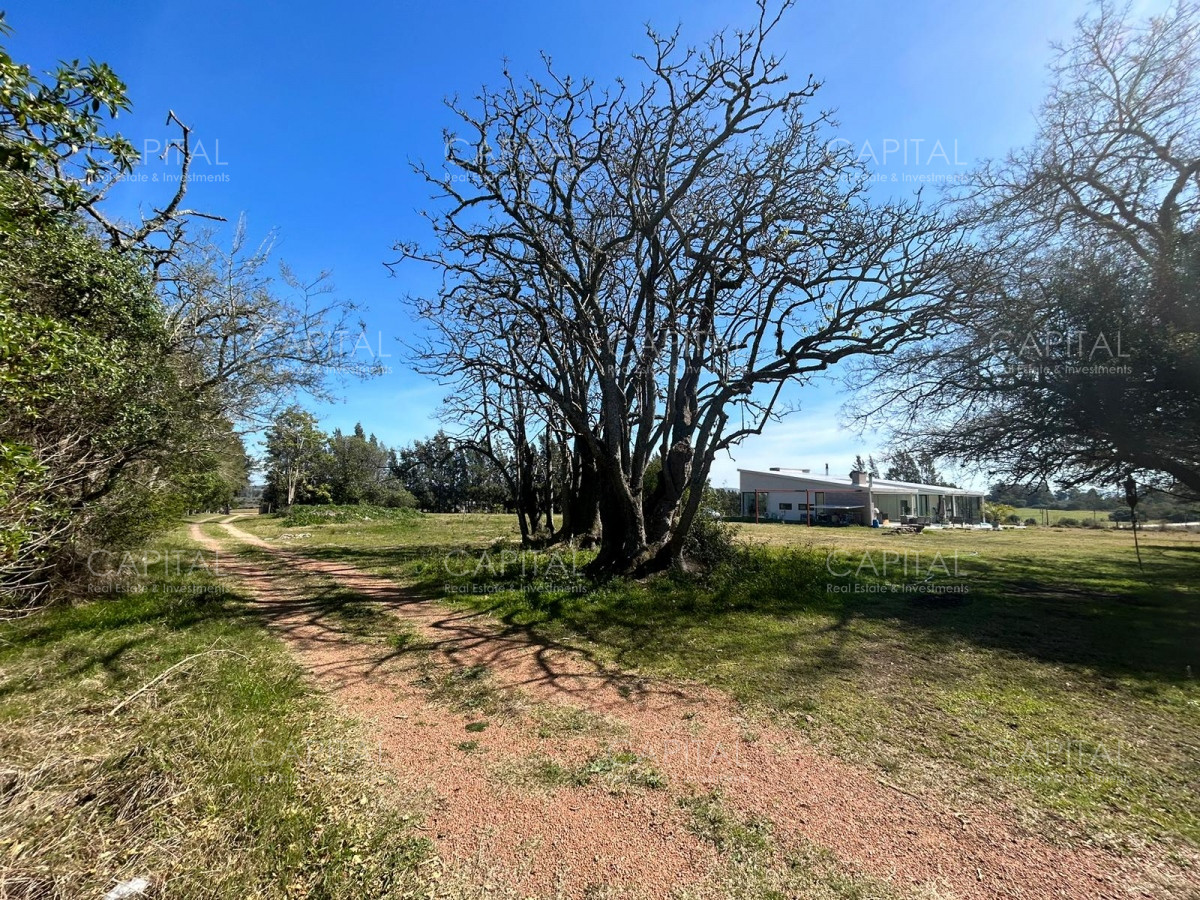Chacra ID.35123 - Chacra con casa moderna en venta, Ruta 39. 