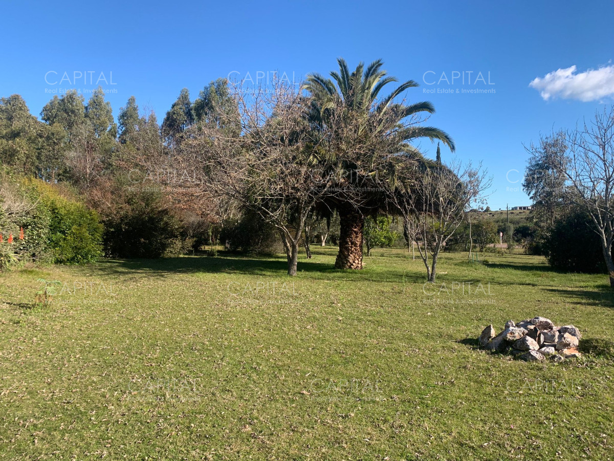 Chacra ID.38532 - Chacra 5 has próxima a San Carlos 