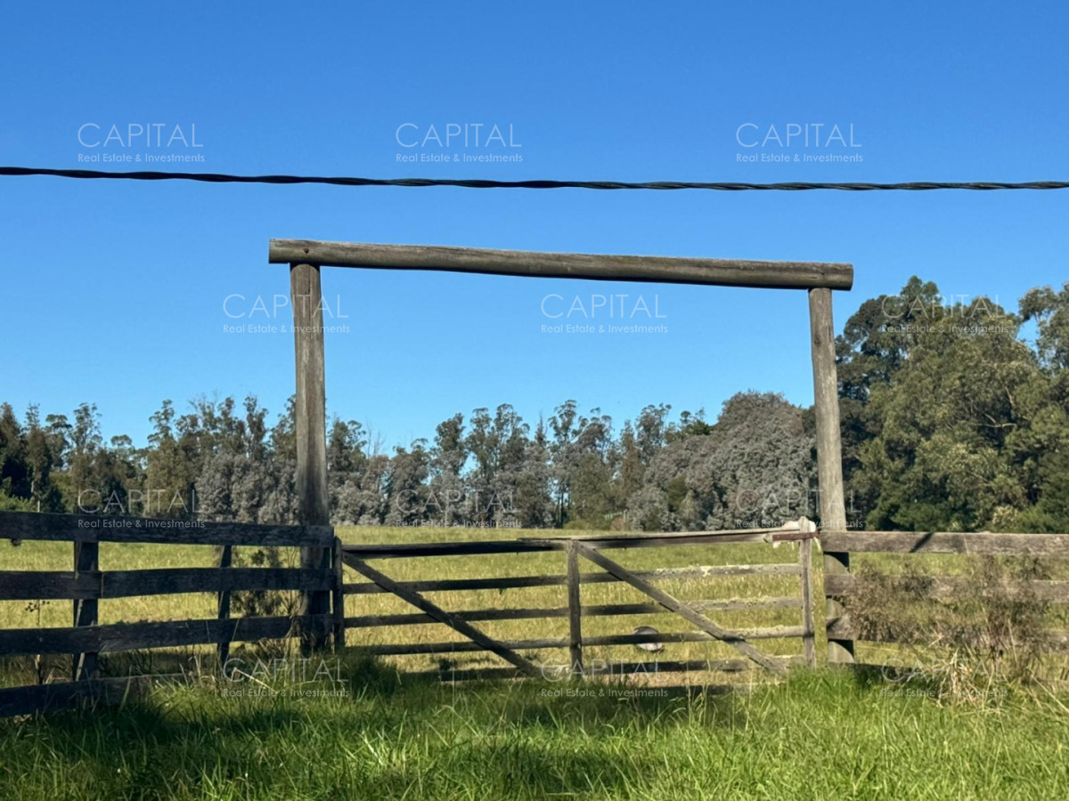 Chacra ID.40177 - Venta Chacra 3 Hectareas en La Barra
