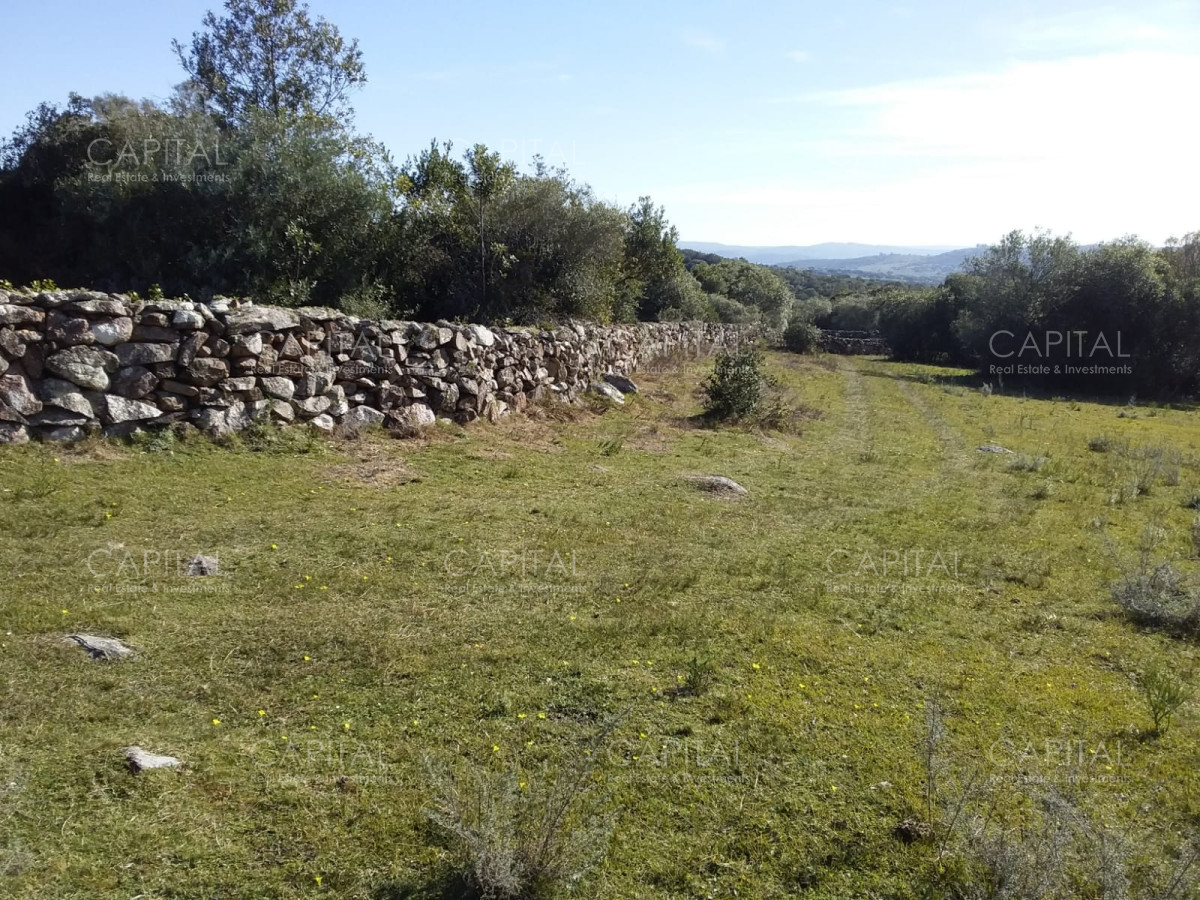 Chacra ID.31247 - Chacra en Ruta 39, en venta