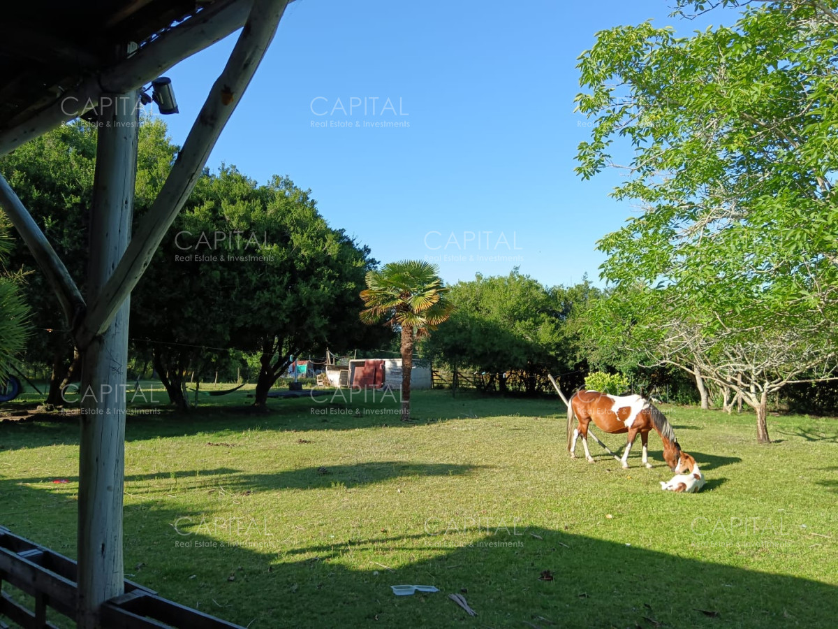 Chacra ID.37396 - CHACRA de 2 HAS.  a 200m de ruta 9 