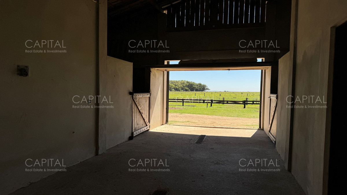 Chacra ID.36339 - Haras en Venta de  22has en La Coronilla, Rocha 