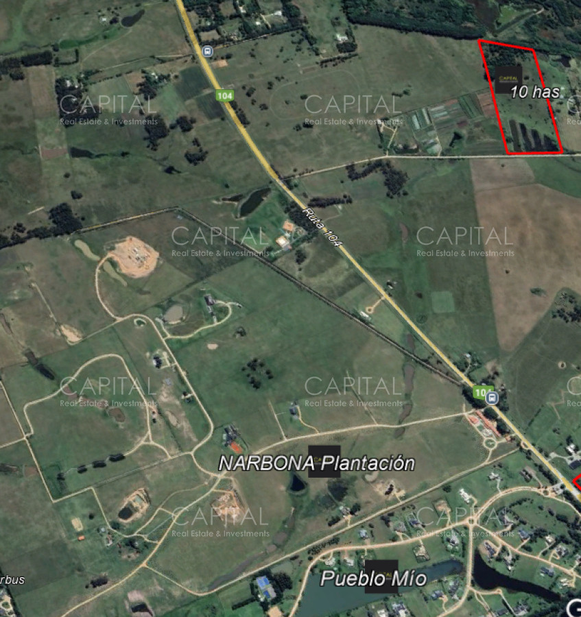 Chacra ID.38842 - Chacra de 10 has próxima a ruta 104 próximo a MACA ,Pueblo Mío, NARBONA La Plantación  