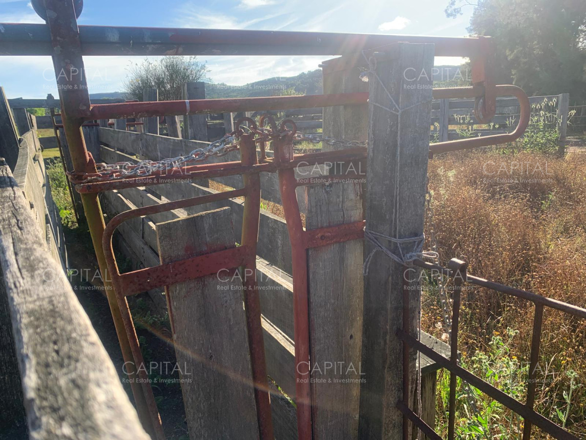 Chacra ID.37467 - Chacra de 5 has en ruta 9 próximo a ruta 12