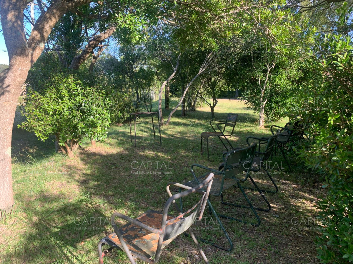 Chacra ID.37467 - Chacra de 5 has en ruta 9 próximo a ruta 12