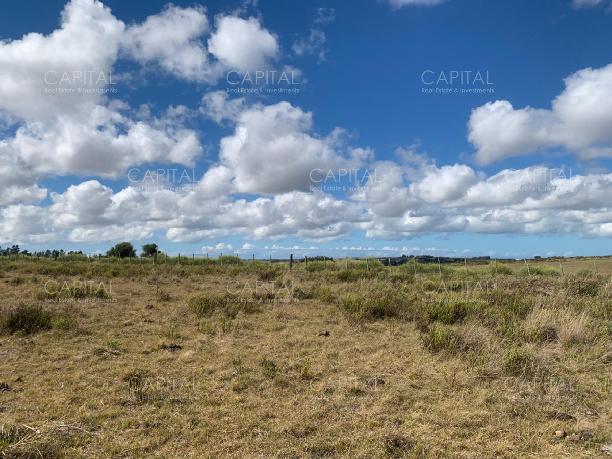 Chacra ID.39820 - Chacra de 31 has José Ignacio 