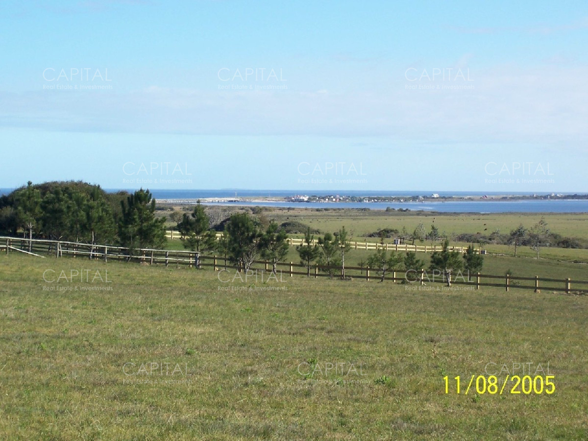 Chacra ID.26573 - Medellin Faro - Jose Ignacio - 1 has.