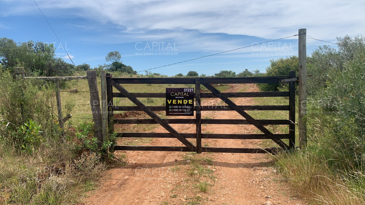 Chacra ID.37221 - Chacra en Pueblo Edén 8 has.