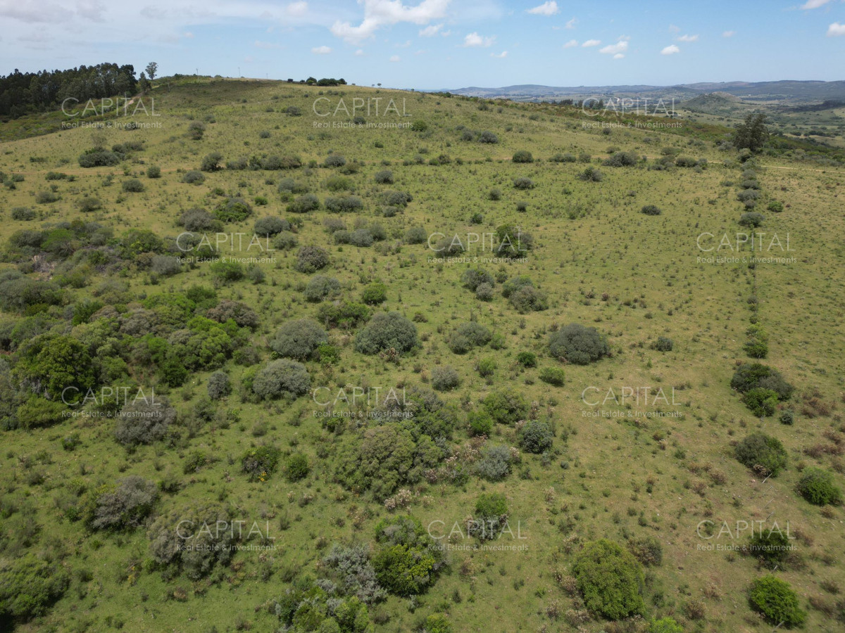 Chacra ID.37221 - Chacra en Pueblo Edén 8 has.