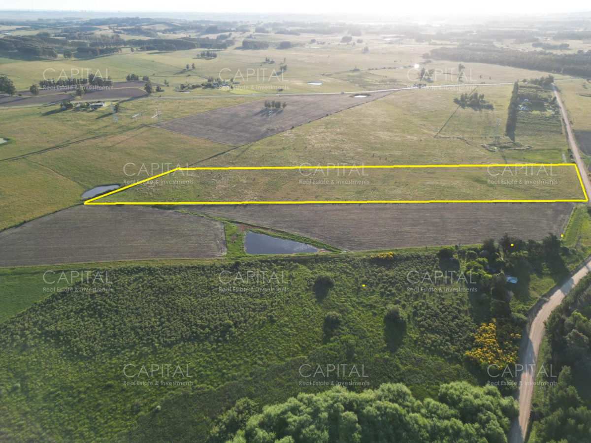 Chacra ID.39217 - Chacra de 7 has Cno. Borrás y ruta 104