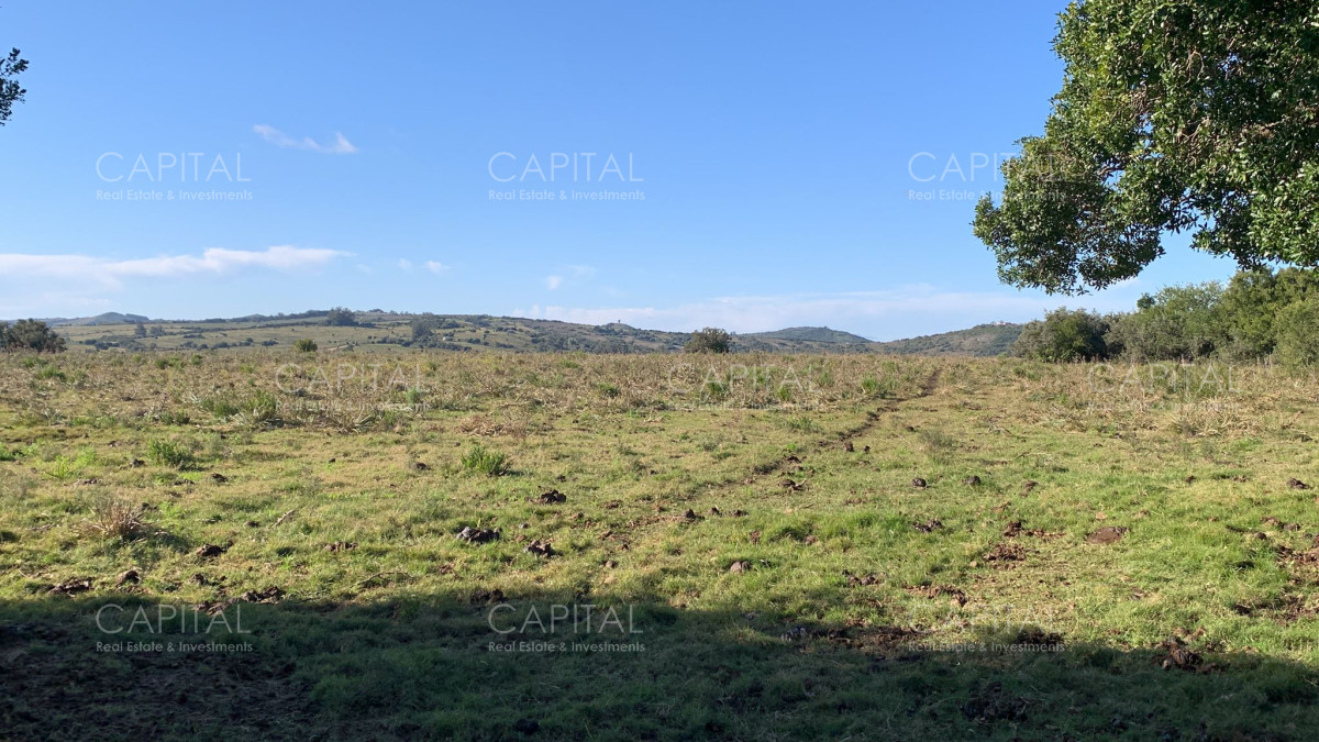 Chacra ID.38318 - Chacra de 5 hectáreas , Pueblo Edén 