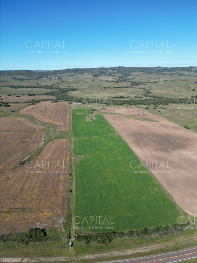 Chacra ID.38260 - Chacra de 10 has en Ruta 39 a min. de San Carlos 