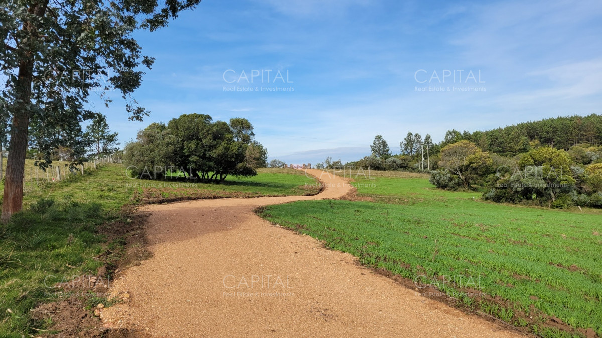 Chacra ID.35105 - Chacra en venta, Sierras de Maldonado - Uruguay