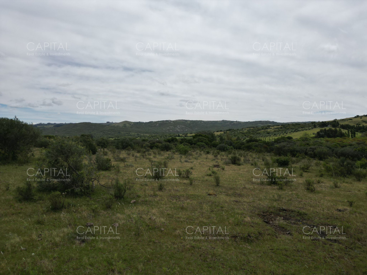 Chacra ID.37221 - Chacra en Pueblo Edén 8 has.