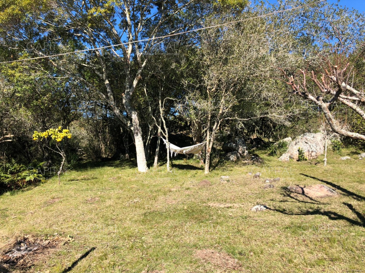 Chacra ID.31247 - Chacra en Ruta 39, en venta