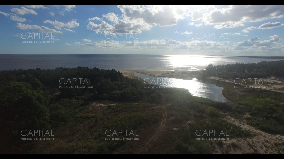 Chacra ID.29280 - Chacra con costa al Rio de La Plata