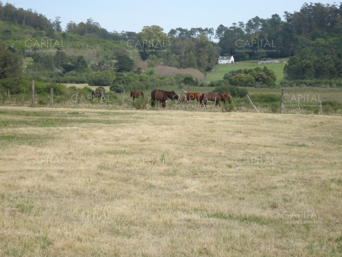 Chacra ID.27664 - Excelente Chacra en venta en zona de La Pataia