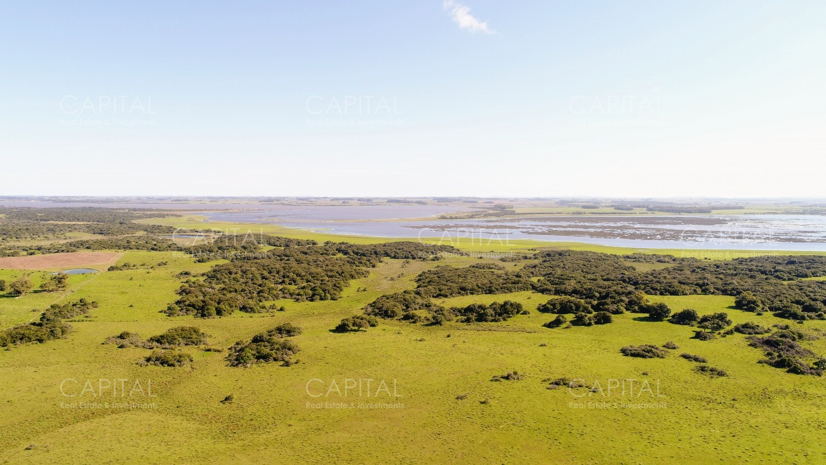 Chacra ID.29940 - Chacra en El Caracol - Garzon 108 Has, en venta