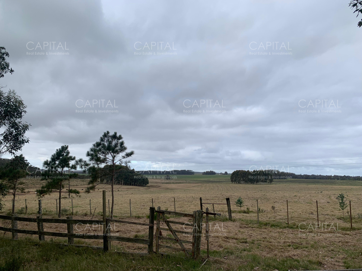 Chacra ID.38797 - Espectacular chacra 10 has sobre ruta 104 ,Pueblo Mío , MACA , NARBONA