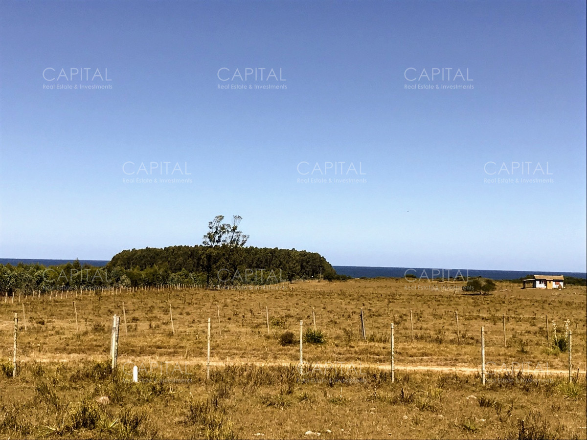 Chacra ID.29940 - Chacra en El Caracol - Garzon 108 Has, en venta