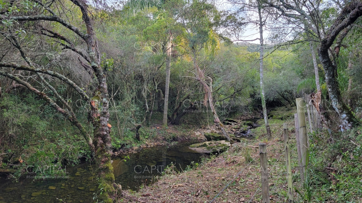 Chacra ID.35105 - Chacra en venta, Sierras de Maldonado - Uruguay
