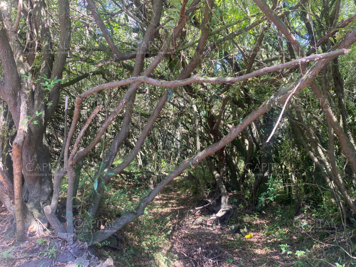 Chacra ID.39639 - Inversión estratégica :Excelente chacra con gran potencial turístico 11has  