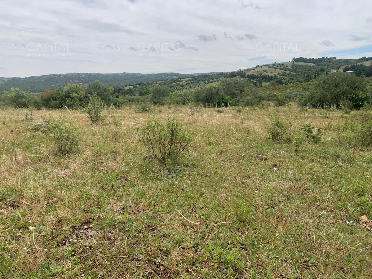 Chacra ID.37221 - Chacra en Pueblo Edén 8 has.