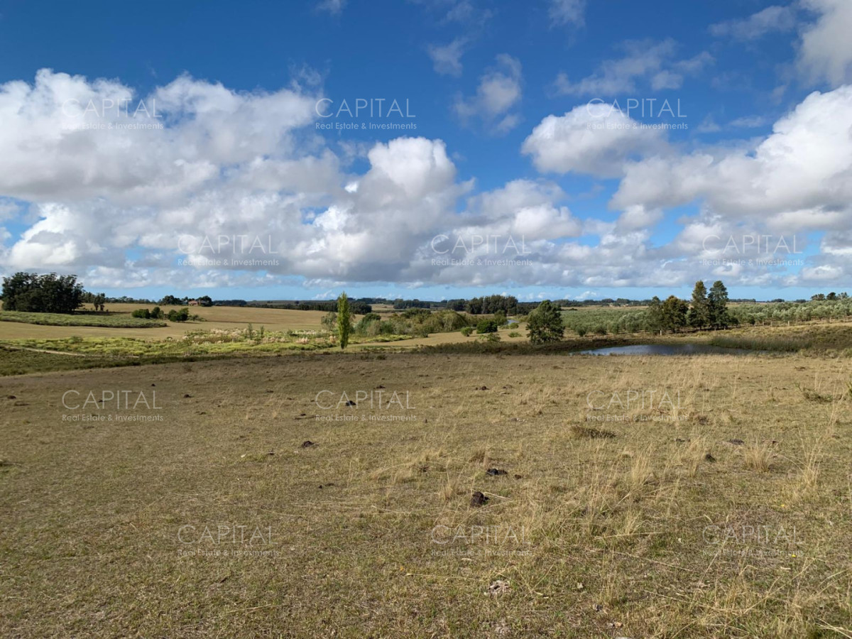 Chacra ID.39820 - Chacra de 31 has José Ignacio 
