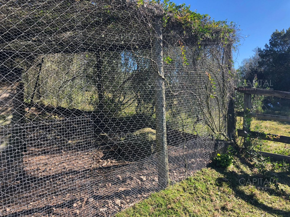 Chacra ID.31247 - Chacra en Ruta 39, en venta