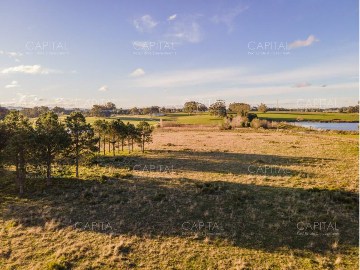 Chacra ID.37887 - Chacra en Venta - Naturaleza, Privacidad y Vistas Panorámicas en Cerro Egusquiza