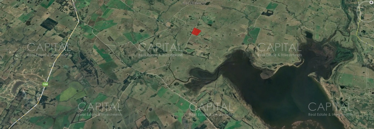 Chacra ID.34563 - Lote de 12 has en Medellin Jose Ignacio