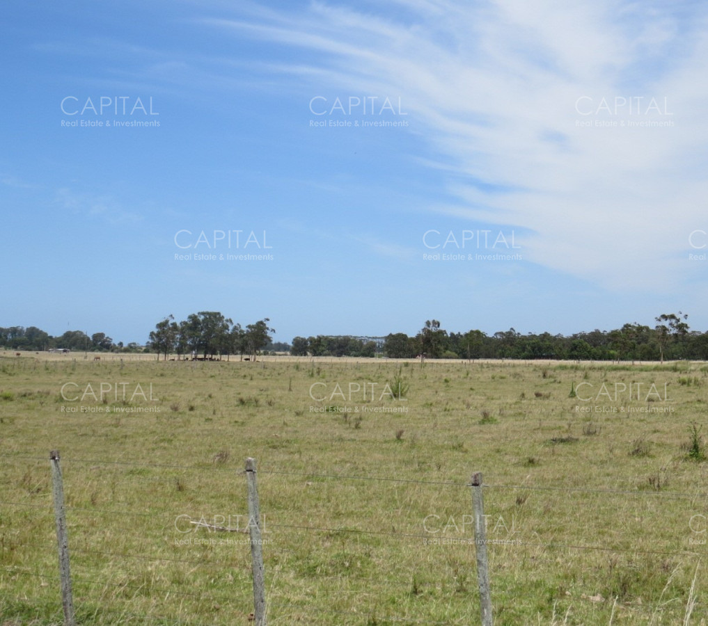 Chacra ID.39479 - Chacra de 5 has zona club de Polo - La Paloma 