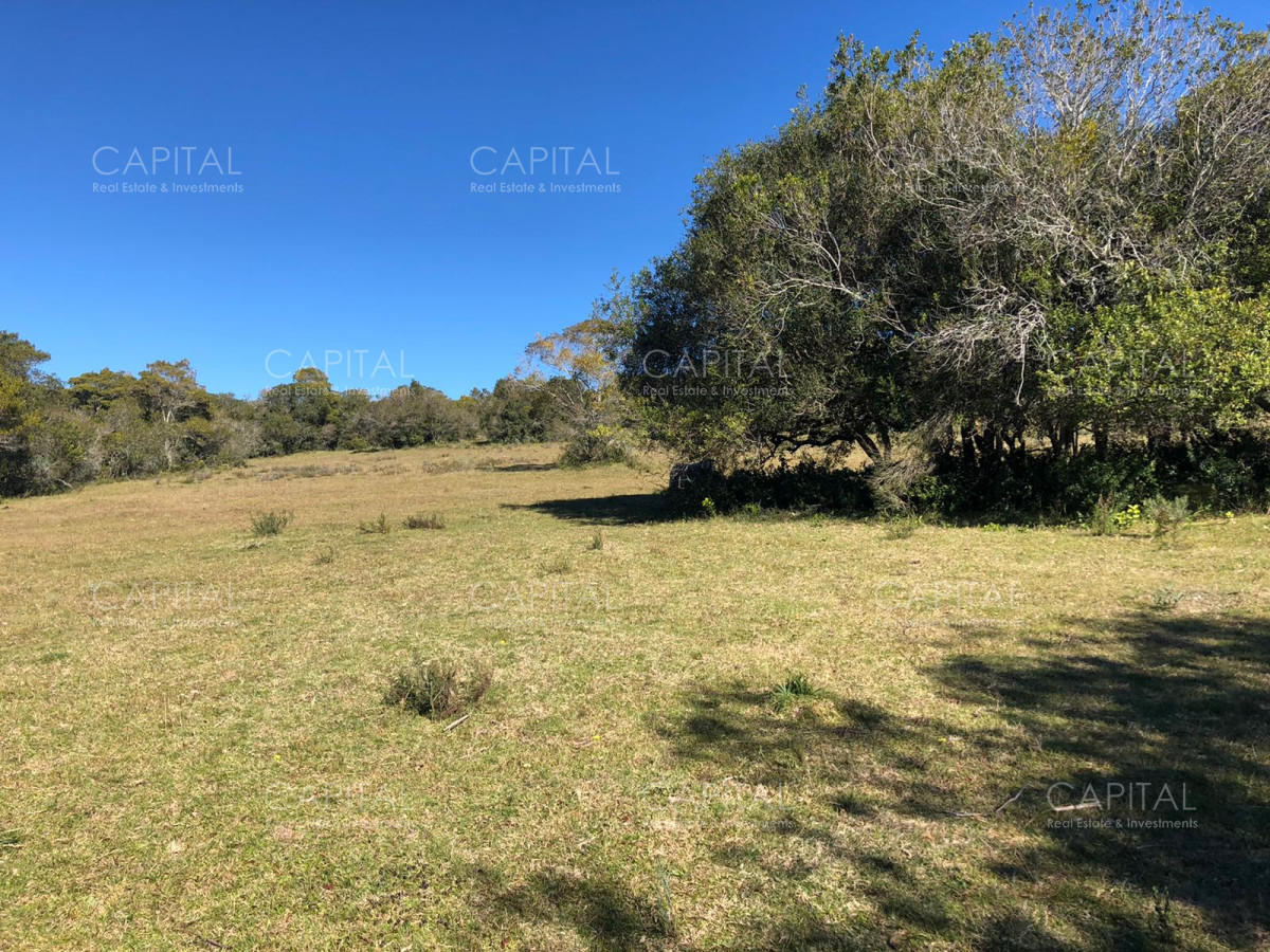 Chacra ID.31247 - Chacra en Ruta 39, en venta