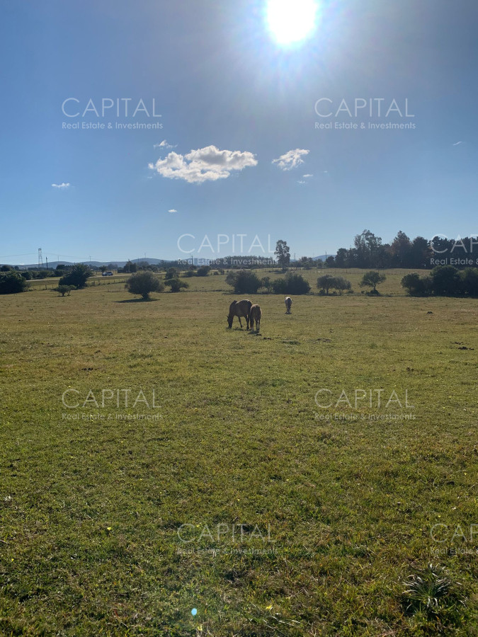 Chacra ID.38532 - Chacra 5 has próxima a San Carlos 