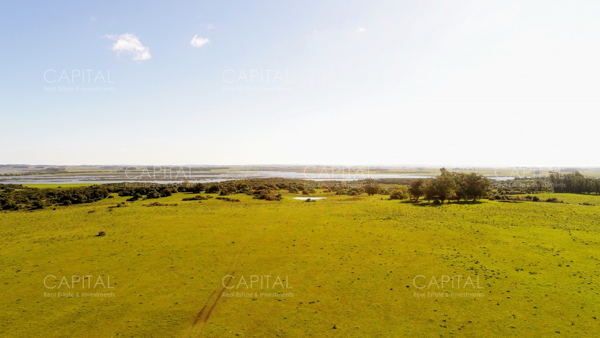 Chacra ID.29940 - Chacra en El Caracol - Garzon 108 Has, en venta