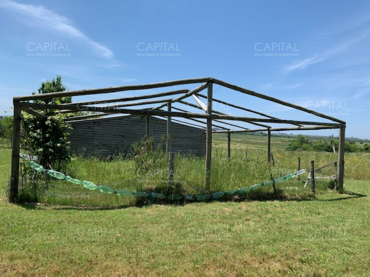 Chacra ID.28488 - Chacra con arroyo de casi 19 hectáreas disponible en Venta