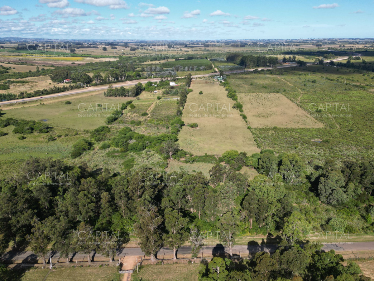 Chacra ID.37467 - Chacra de 5 has en ruta 9 próximo a ruta 12